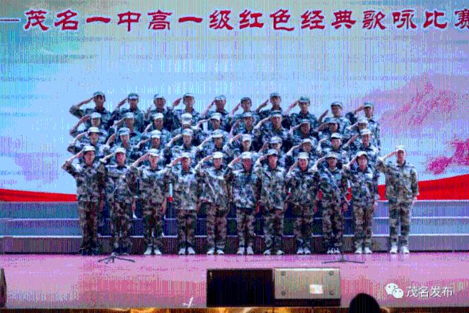 探索人类为什么让动物进行回交?没有伦理道德问题吗?,发现答案的乐趣
